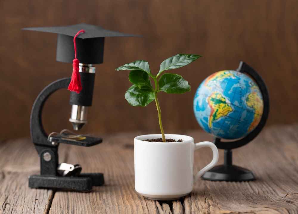 Continuous Learning and Grow