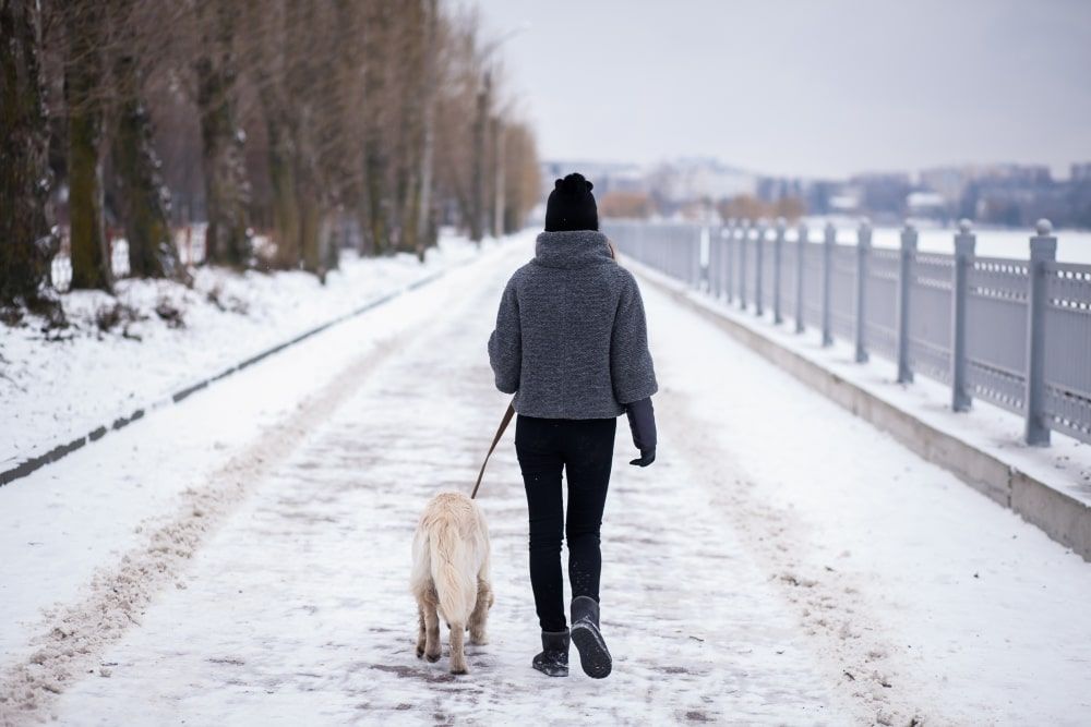 Go for Winter Walks
