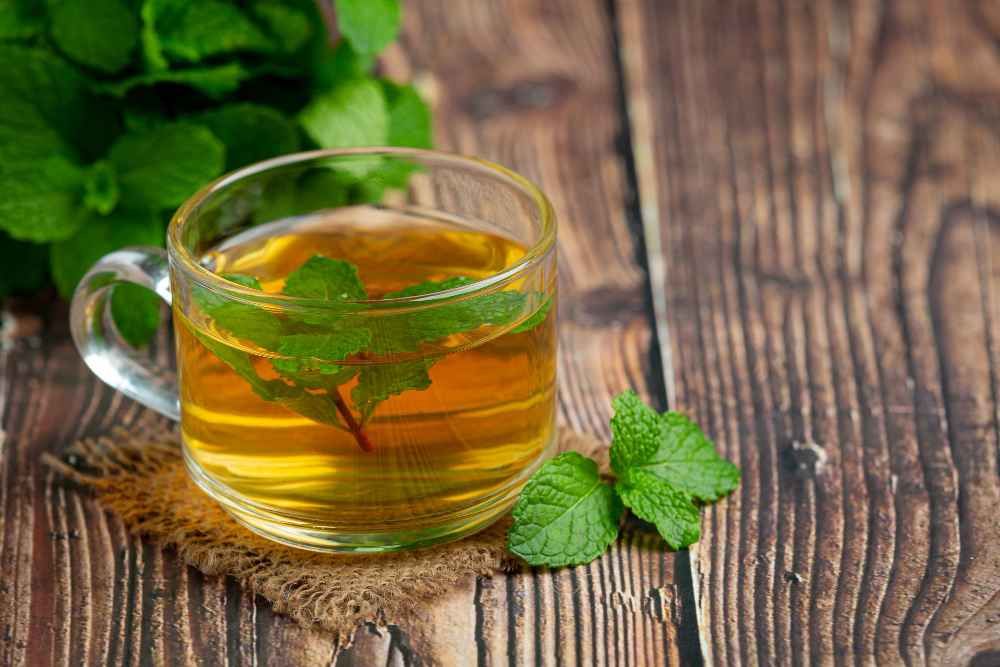 Peppermint Tea
