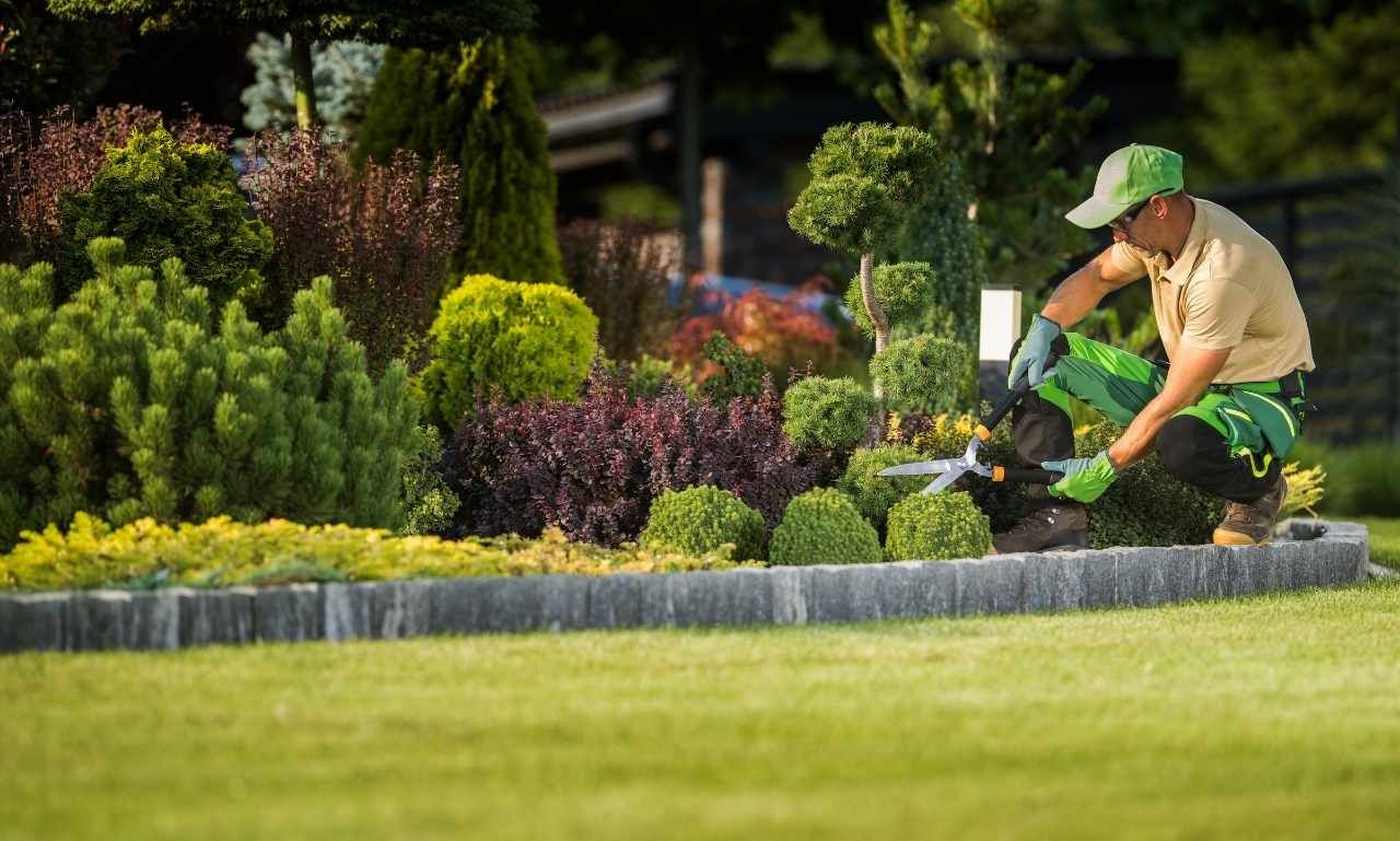 Unique and Inspiring Landscaping Border Ideas