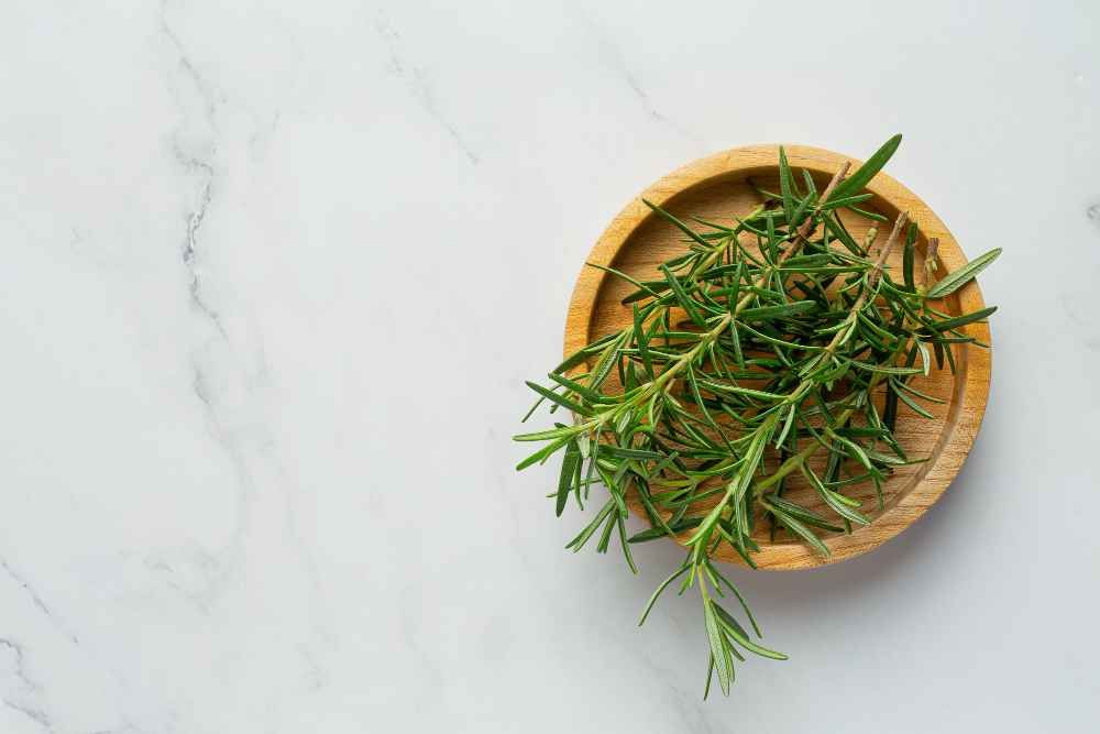 Rosemary