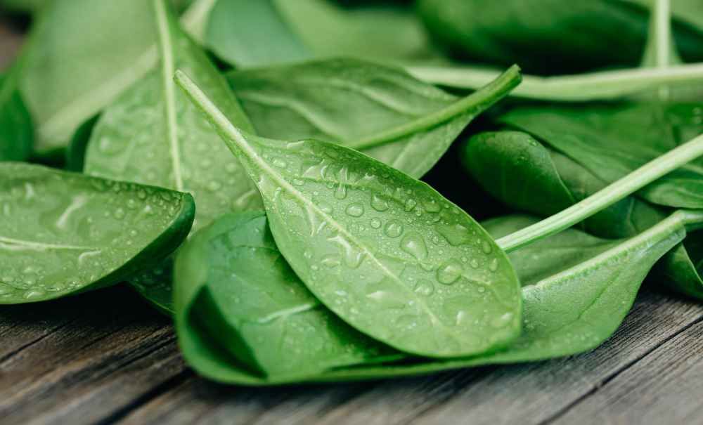 Spinach