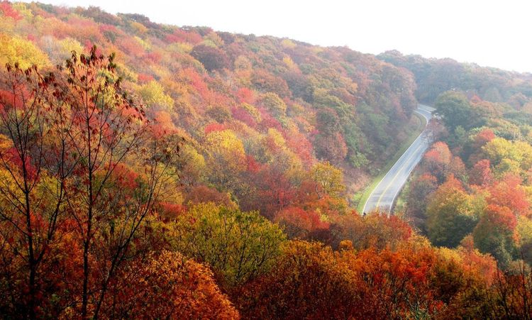 What to Do in Cape Cod in the Fall