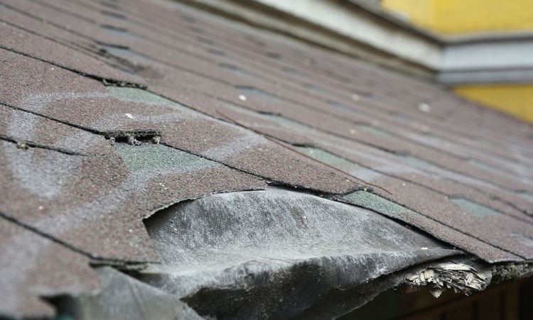 Common Roofing Problems and When to Consult Roof Repair Specialists