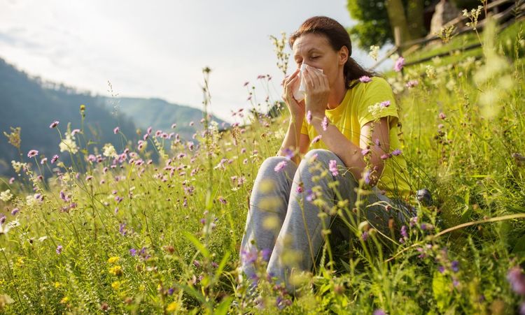 What are the Seasonal Allergies and Trigger Foods?